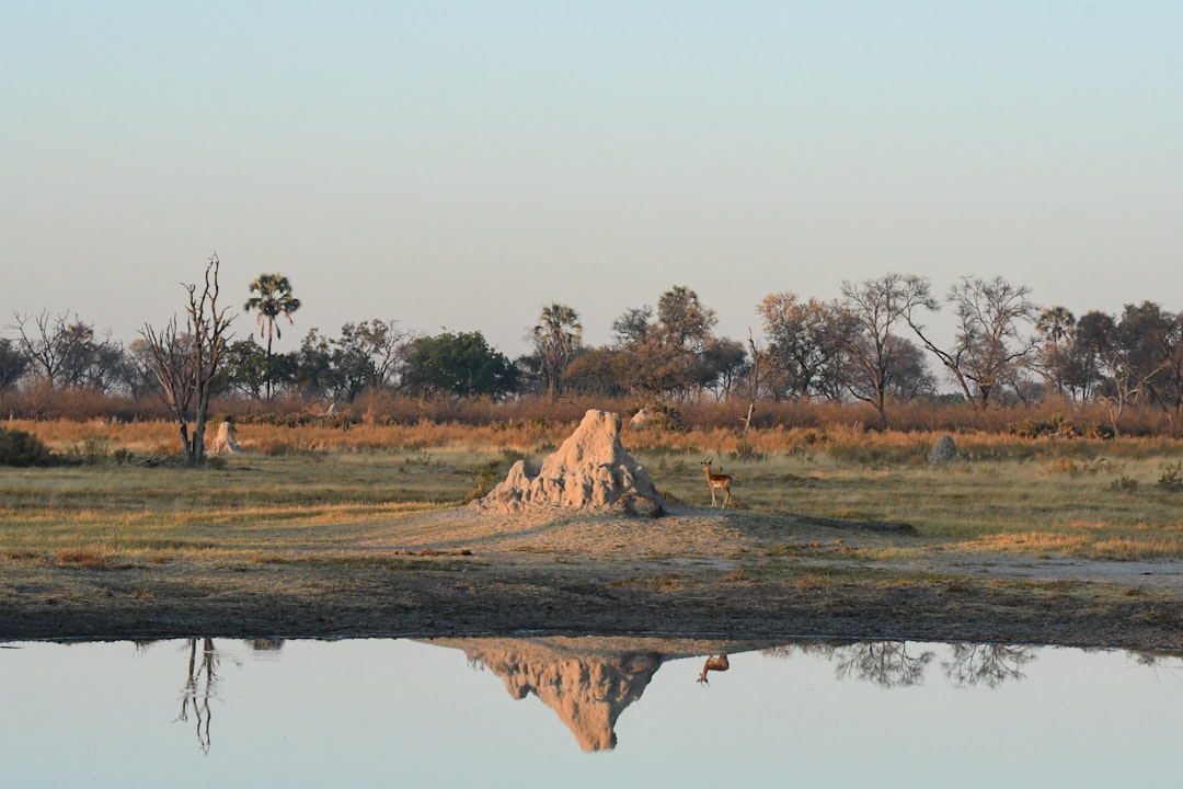Botswana eSIM