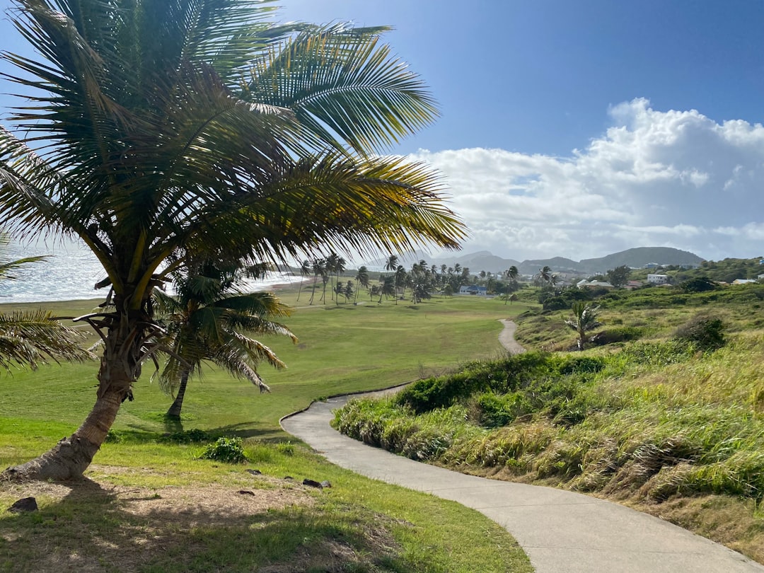 Saint Kitts And Nevis eSIM