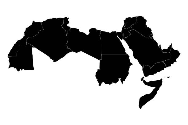 Middle East and North Africa flag